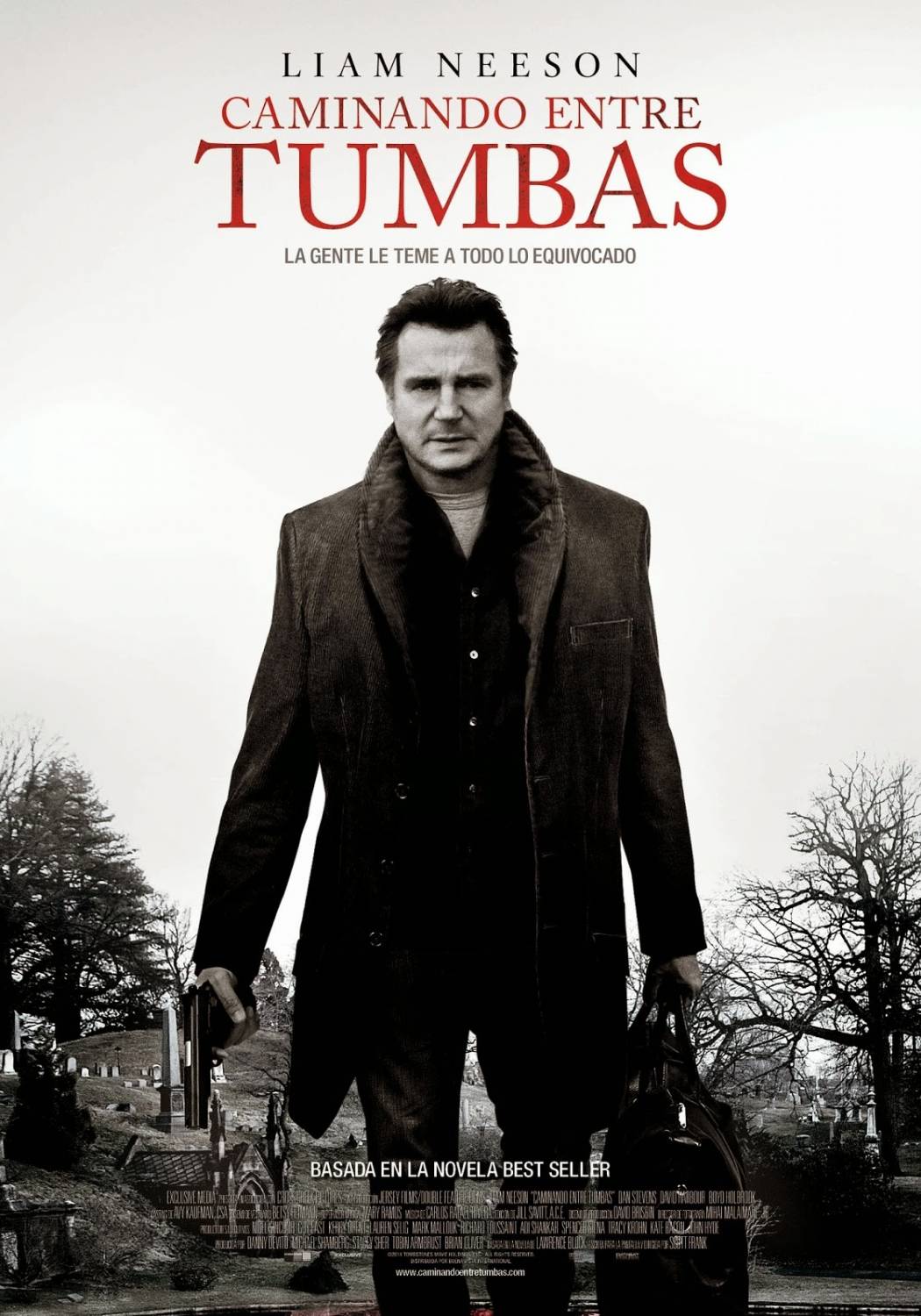 Прогулка среди могил (2014)